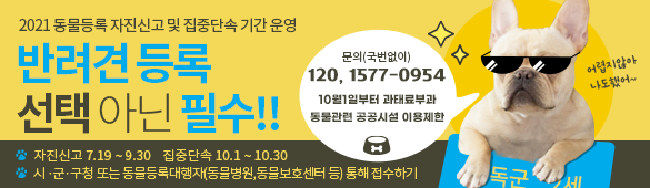 2021 동물등록 자진신고 및 집중단속 기간 운영 반려견등록 선택 아닌 필수! 자진신고 7.29 ~ 9.30 집중단속 10.1 ~ 10.30 시·군·구청 또는 동물등록대행자(동물병원, 동물보호센터 등)을 통해 접수하기 문의(국번없이) 120, 1577-0954 10월 1일부터 과태료부과 동물관련 공공시설 이용제한